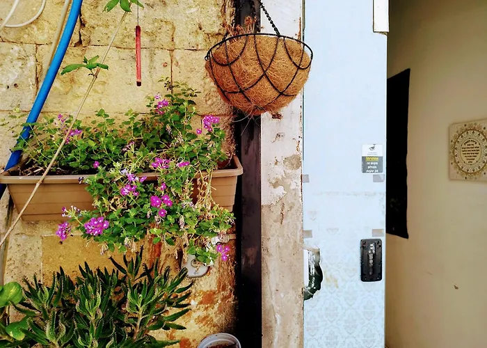 Polihosts Old Jaffa Hostel Tel Aviv